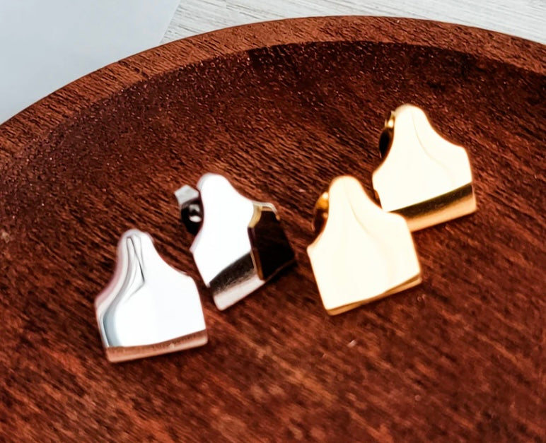 Cow Tag Earrings