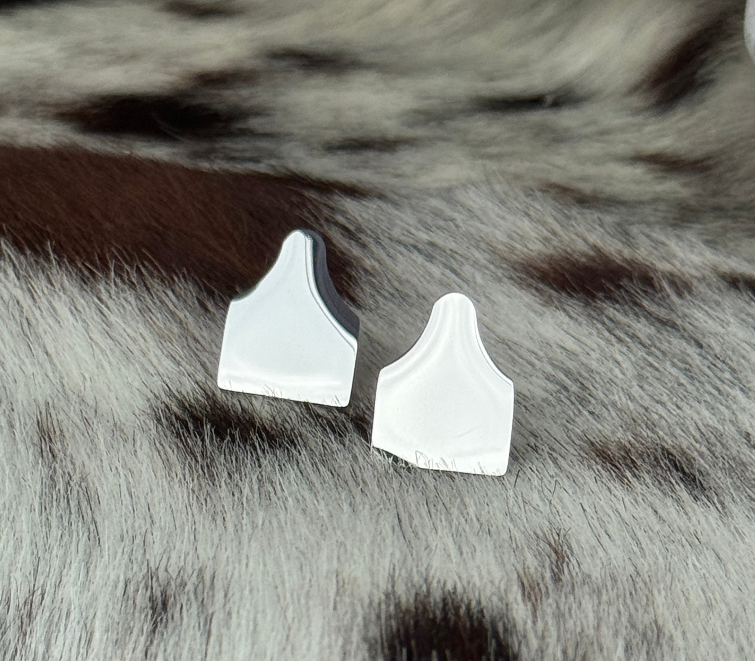 Cow Tag Earrings