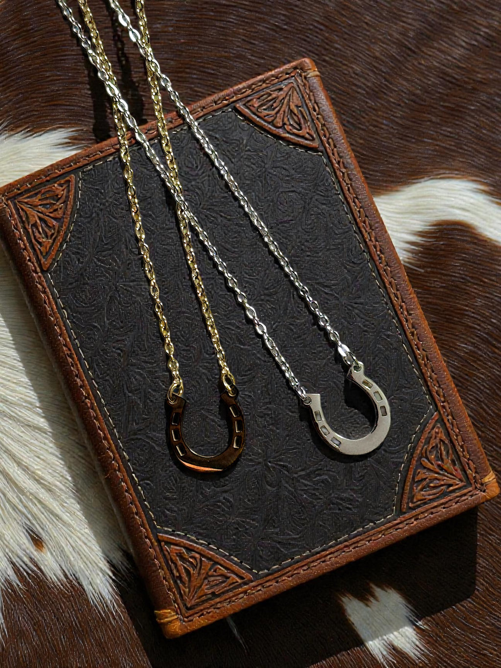 Horseshoe Necklace